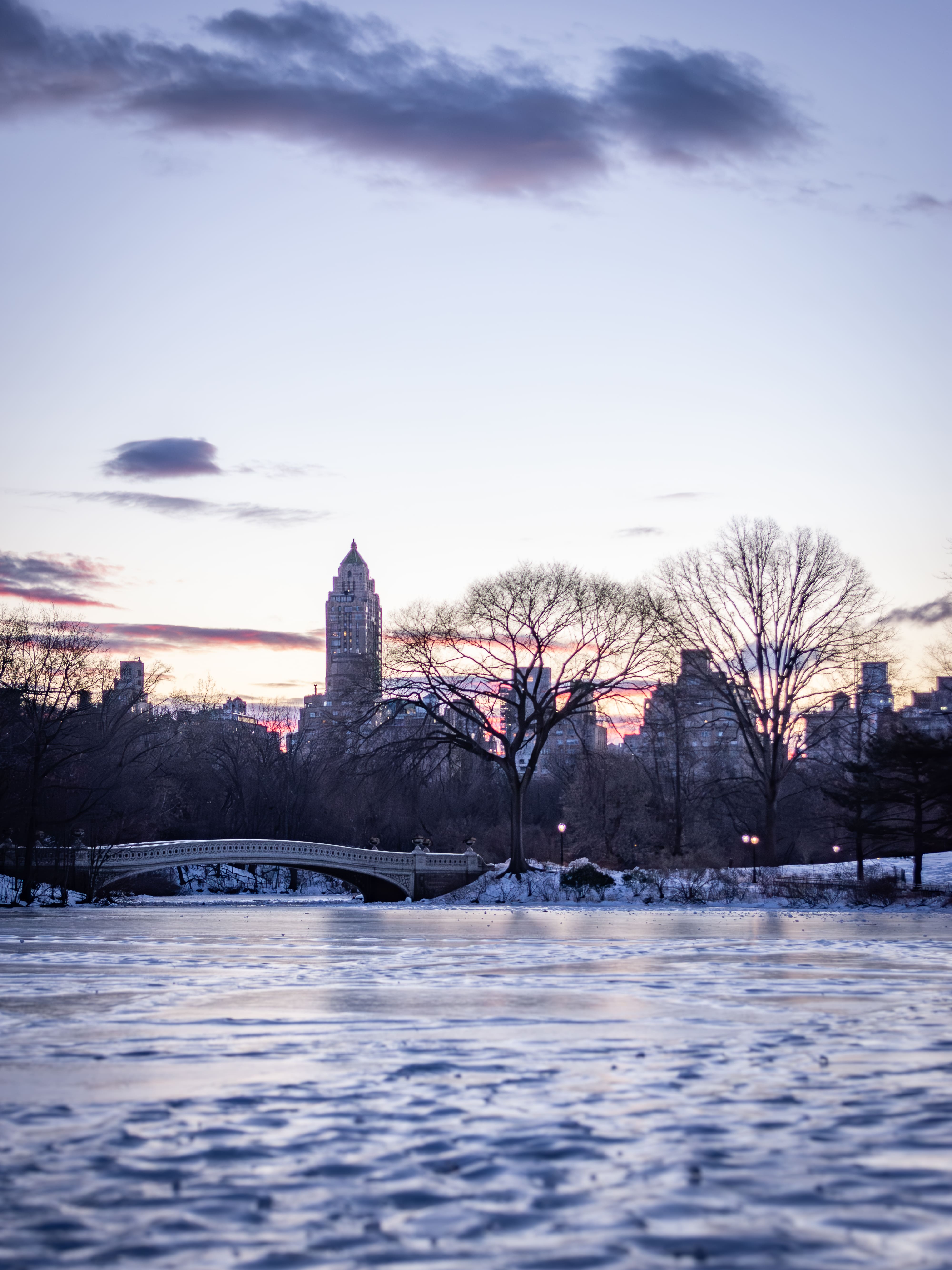 NYC Central Park sunrise over a frozen pond