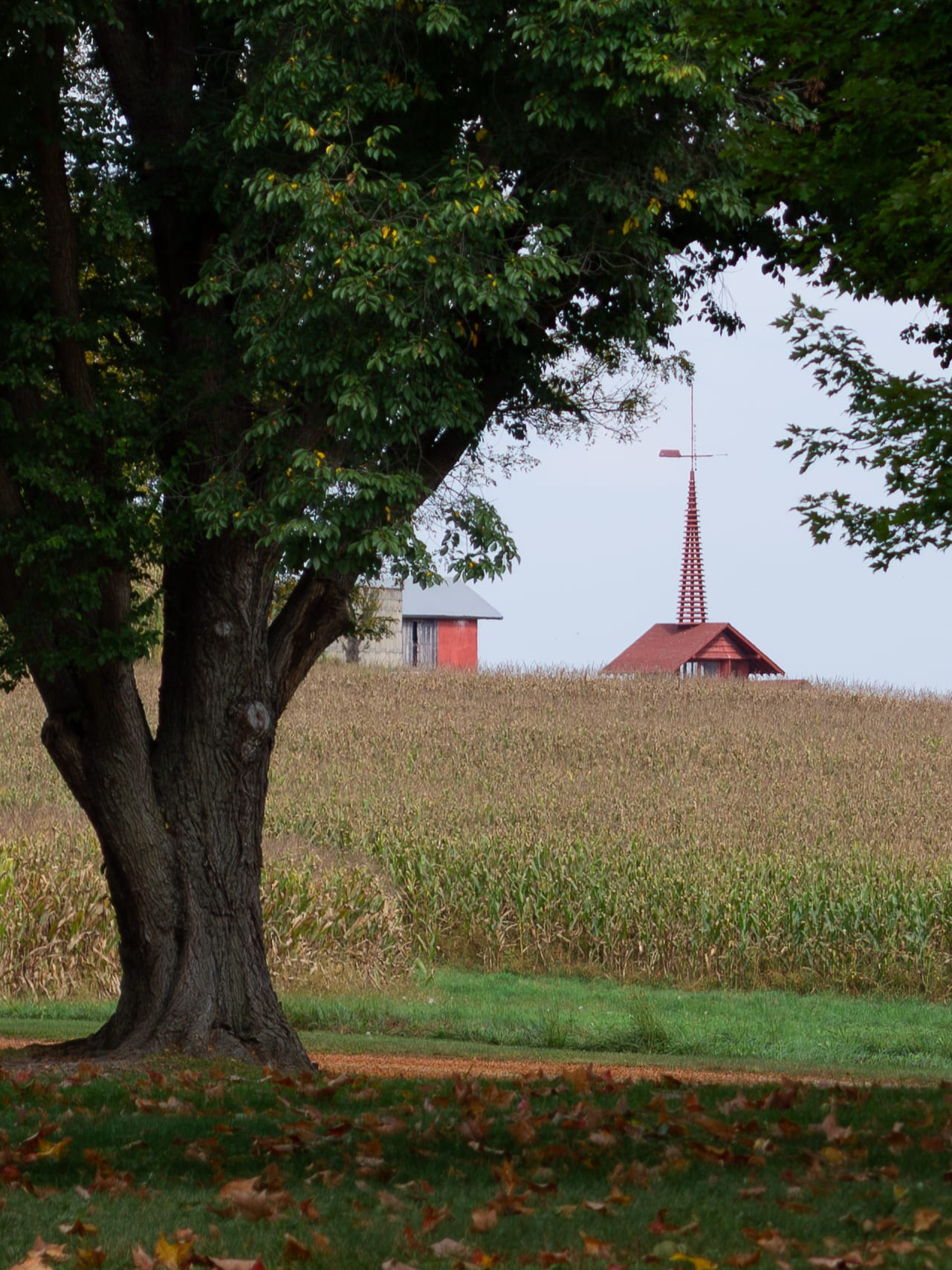 Landscape outside Taliesin in Spring Green, WI